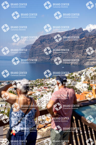 Los Gigantes