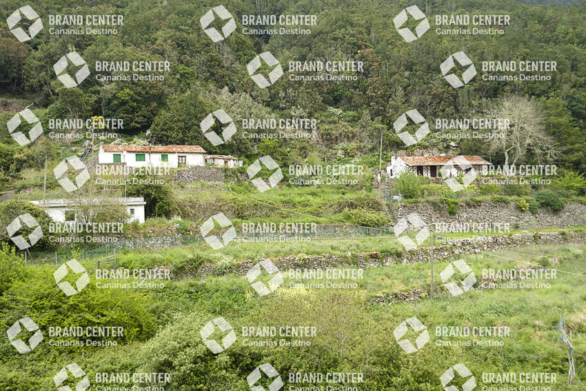 Sendero Contadero-El Cedro