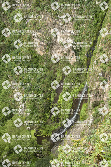 Sendero Contadero-El Cedro