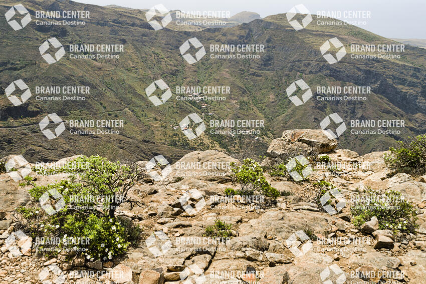 Sendero Fortaleza de Chipude