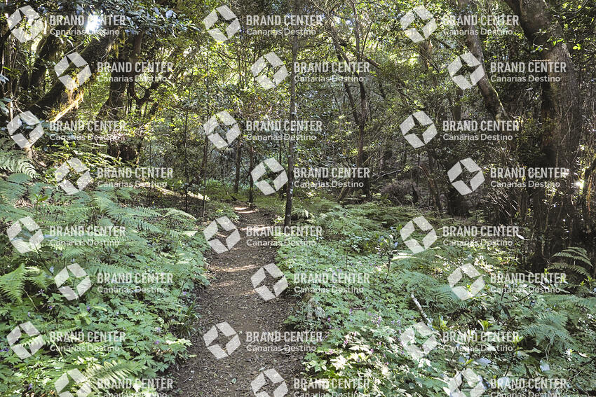Sendero Las Creces