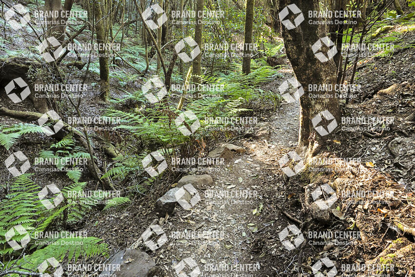 Sendero Las Creces
