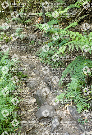Sendero Las Creces