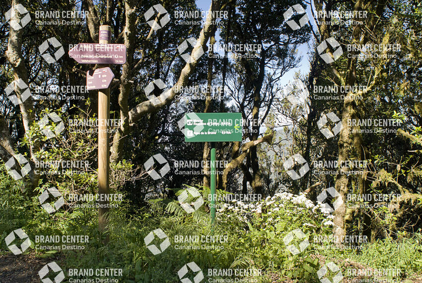 Sendero Las Creces