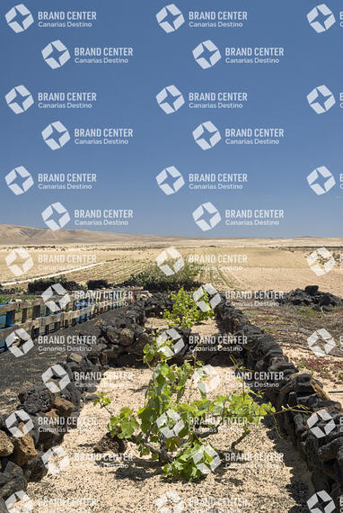 Sendero el Jable, Lanzarote