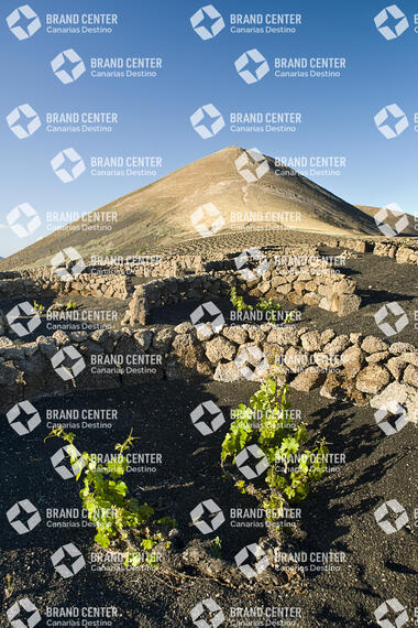 Sendero La Geria, Lanzarote