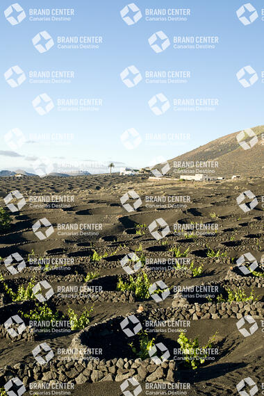 Sendero La Geria, Lanzarote