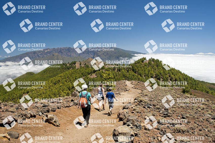 Path Routes of the Volcanoes, La Palma