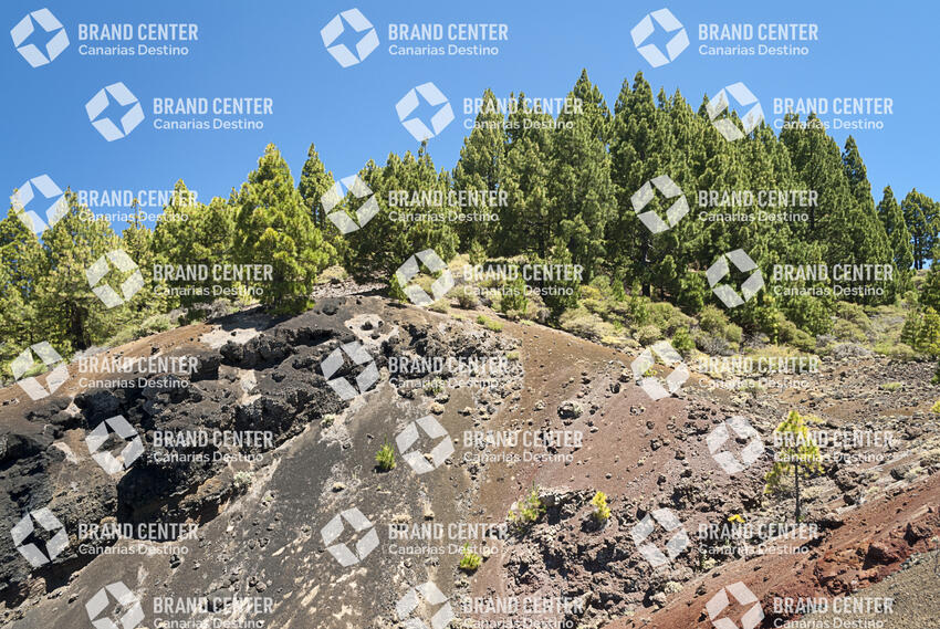 Sendero Rutas de los Volcanes, La Palma