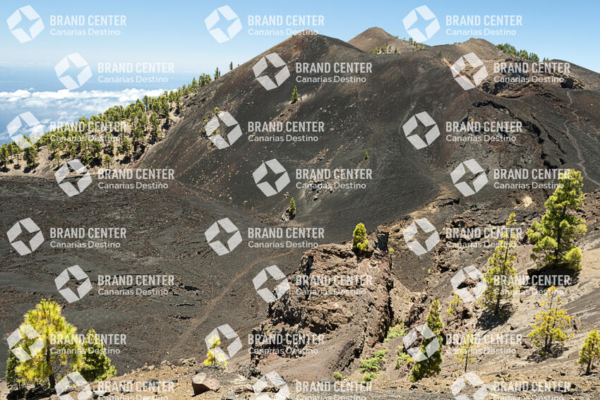 Sendero Rutas de los Volcanes, La Palma