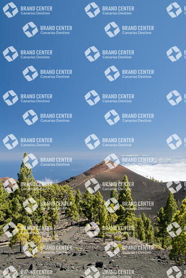 Path Routes of the Volcanoes, La Palma