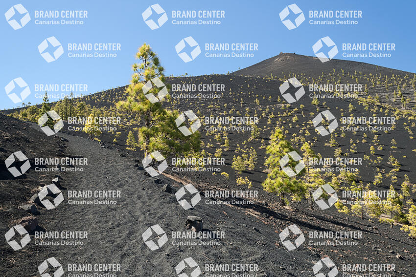 Path Routes of the Volcanoes, La Palma