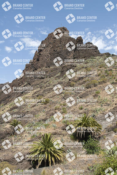 Sendero barranco de Masca, Tenerife