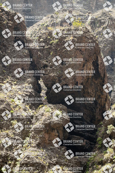 Sendero barranco de Masca, Tenerife