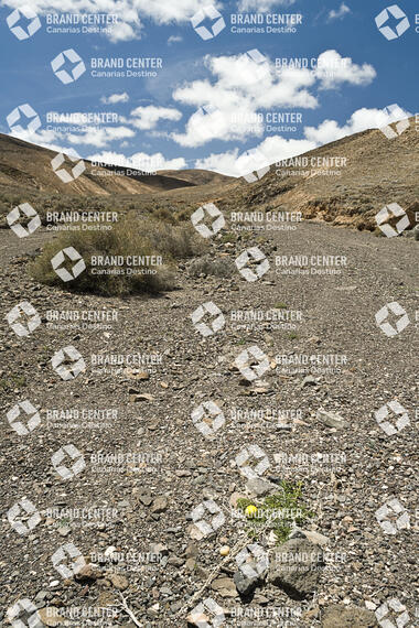 Sendero de los Ajaches, Lanzarote