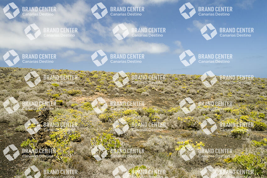 Sendero de Ye a Órzola . Lanzarote