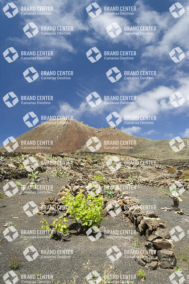 Sendero de Ye a Órzola . Lanzarote