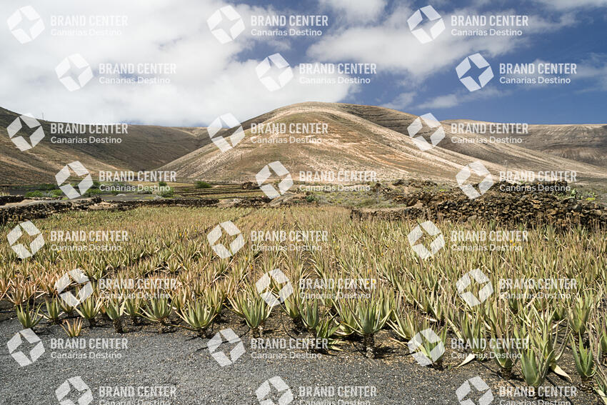Sendero de Ye a Órzola . Lanzarote