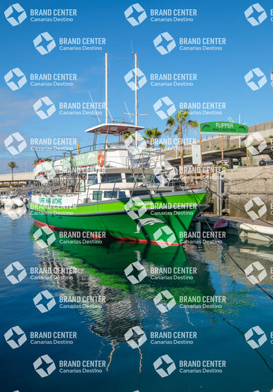 Iniciativas Medioambientales  - Ocean Explorer