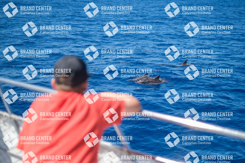 Environmental Initiatives - Ocean Explorer