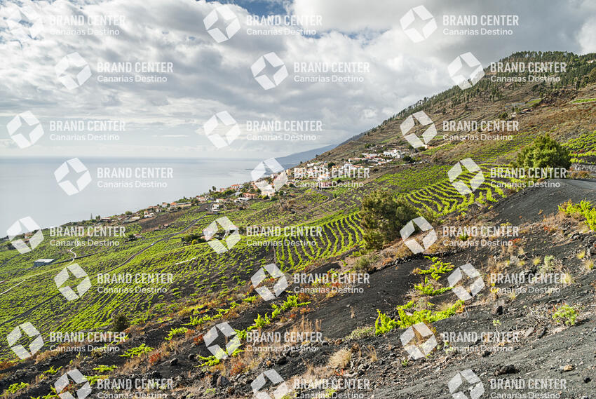 Sendero Volcanes de Fuencaliente, La Palma