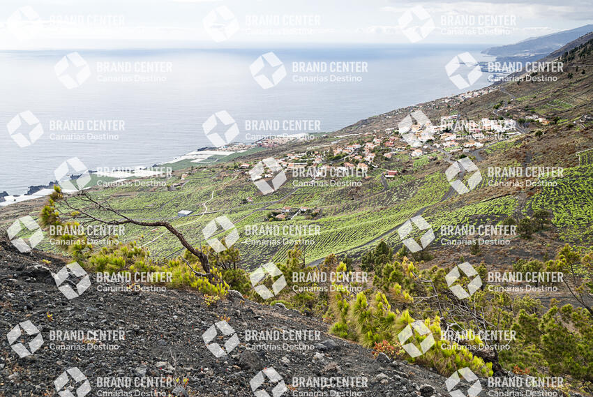 Sendero Volcanes de Fuencaliente, La Palma
