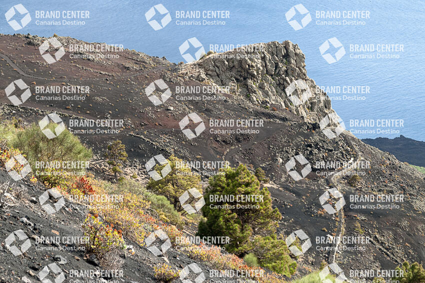 Sendero Volcanes de Fuencaliente, La Palma