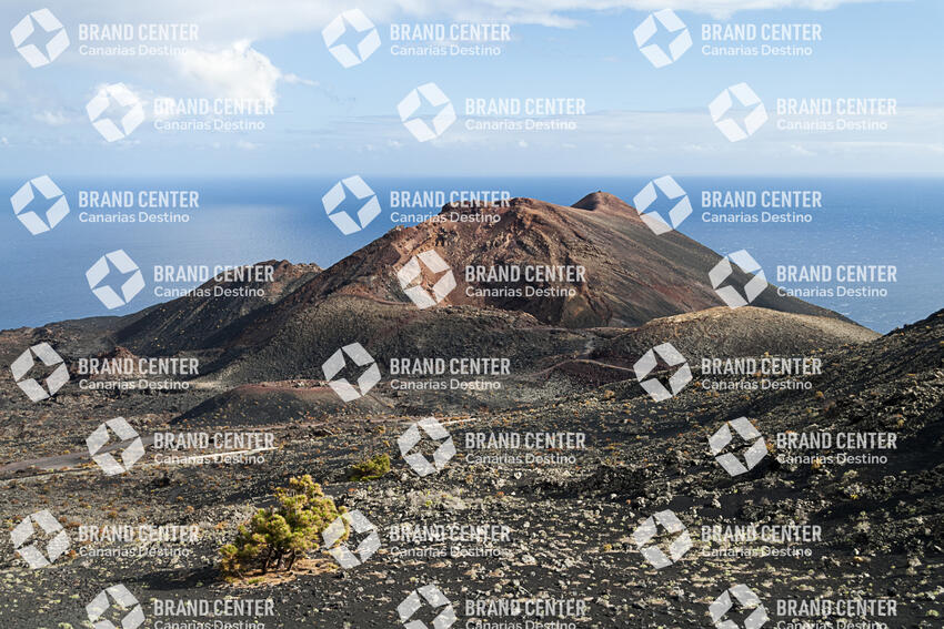 Volcanoes Trail of Fuencaliente, La Palma