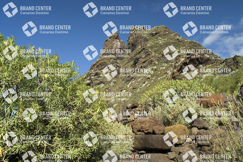 Sendero Cruz del Carmen- Punta Hidalgo