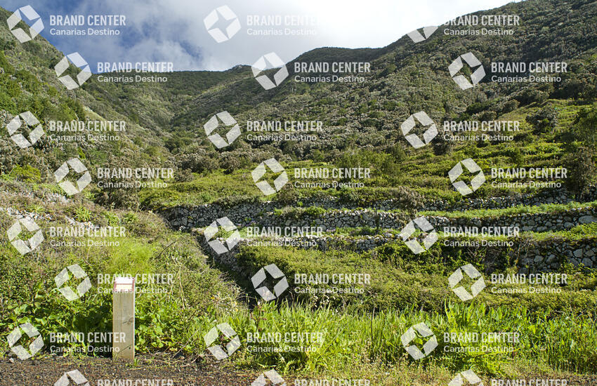 Sendero Monte del Agua, Tenerife
