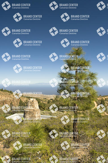 Sendero Circular de las Vegas, Tenerife