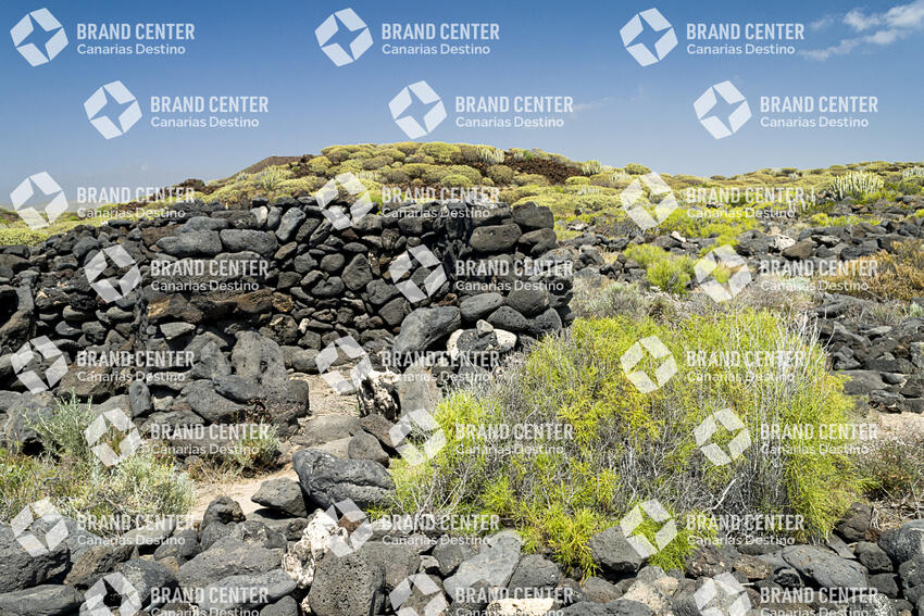 Sendero de Rasca, Tenerife