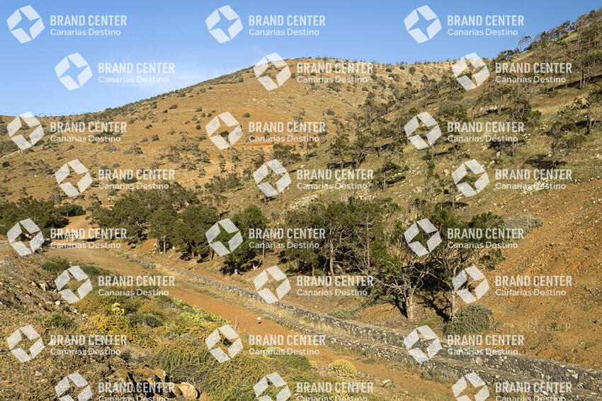 Sendero Betancuria - Valles de Ortega