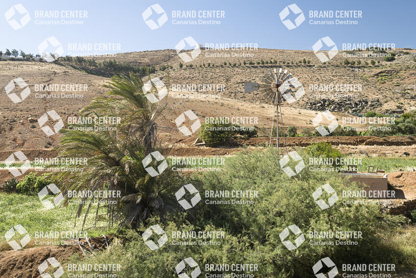 Sendero Betancuria - Valles de Ortega