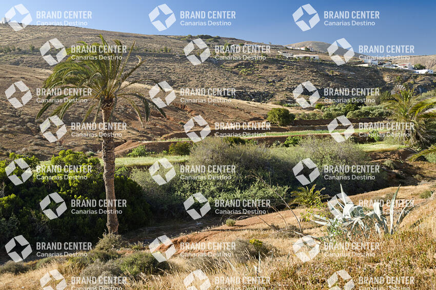 Sendero Betancuria - Valles de Ortega