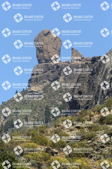 Roque Nublo