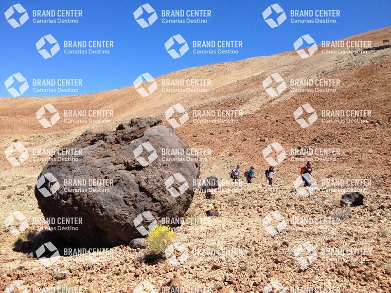 Huevos del Teide