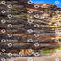 Nogales Beach