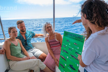 Iniciativas Medioambientales  - Ocean Explorer