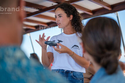 Iniciativas Medioambientales  - Ocean Explorer