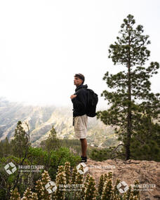 Roque Nublo