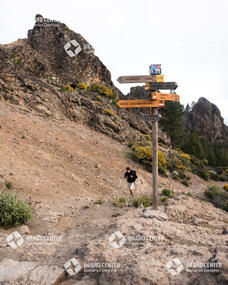 Roque Nublo