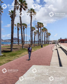 Skate en el Paseo de Las Canteras