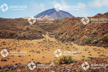 Seven Cañadas Route
