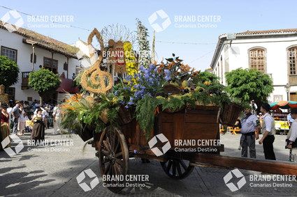 Pilgrimage Cart in Teror