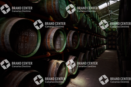 Ron Arehucas Distillery