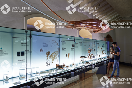 Museum of Nature and Man