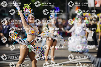 Santa Cruz de Tenerife Carnival