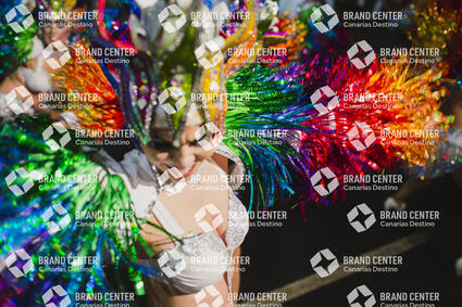 Santa Cruz de Tenerife Carnival