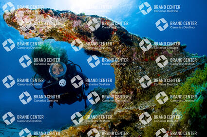 Underwater background. Yellow Mountain